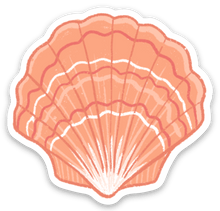 Load image into Gallery viewer, Scallop Shell Sticker