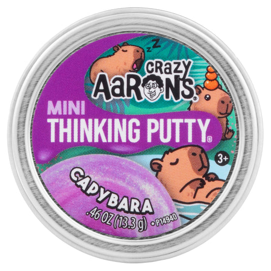 Close-up of the Crazy Aaron's Mini Capybara Thinking Putty collectible tin lid with capybara artwork.