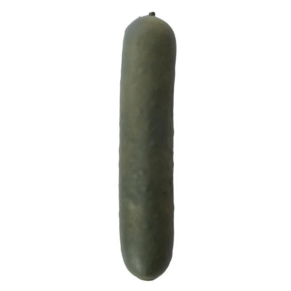 Giant 15 inch pickle squishy sensory and fidget toy