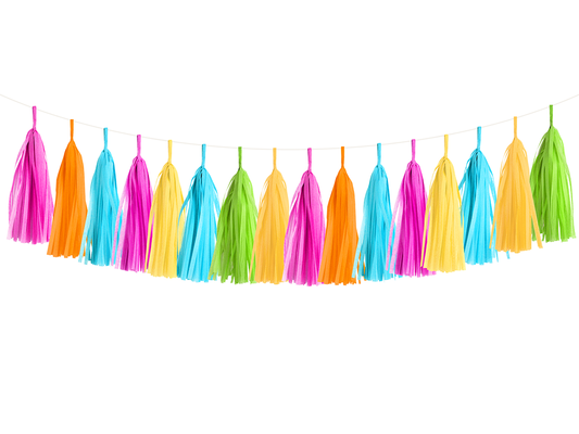 Tassel Garland Kit - Fiesta cute gift product