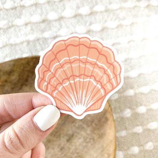 Scallop Shell Sticker cute gift product
