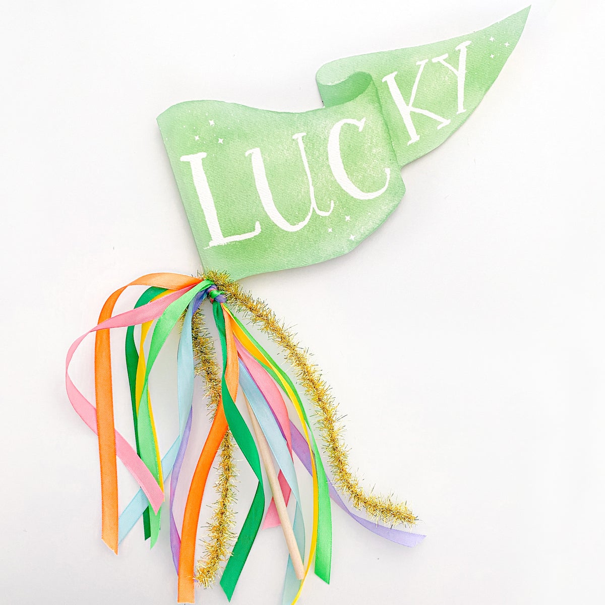 Lucky Party Pennant cute gift product